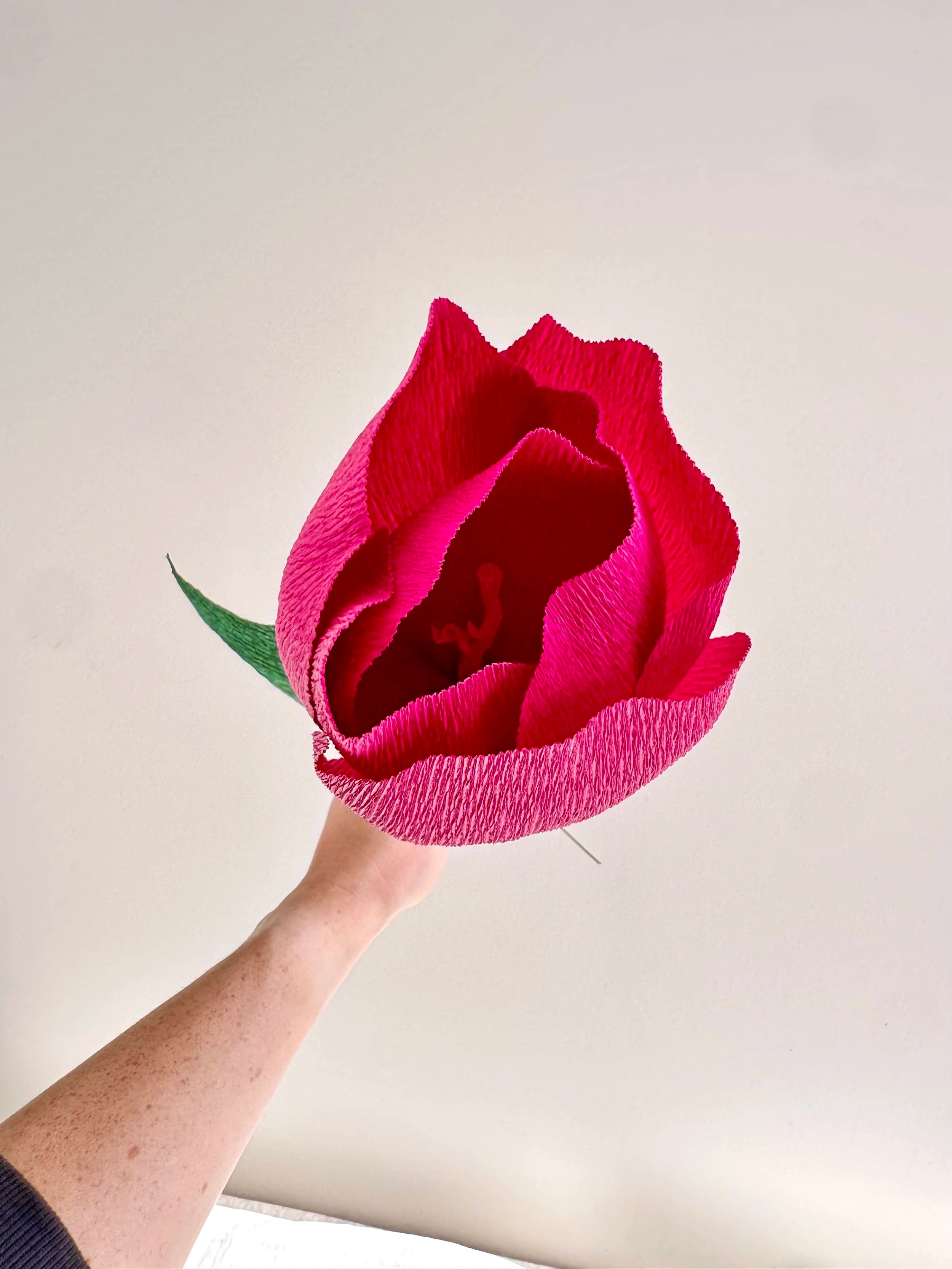 Hand holding a large dark purple crepe paper crocus against a plain background