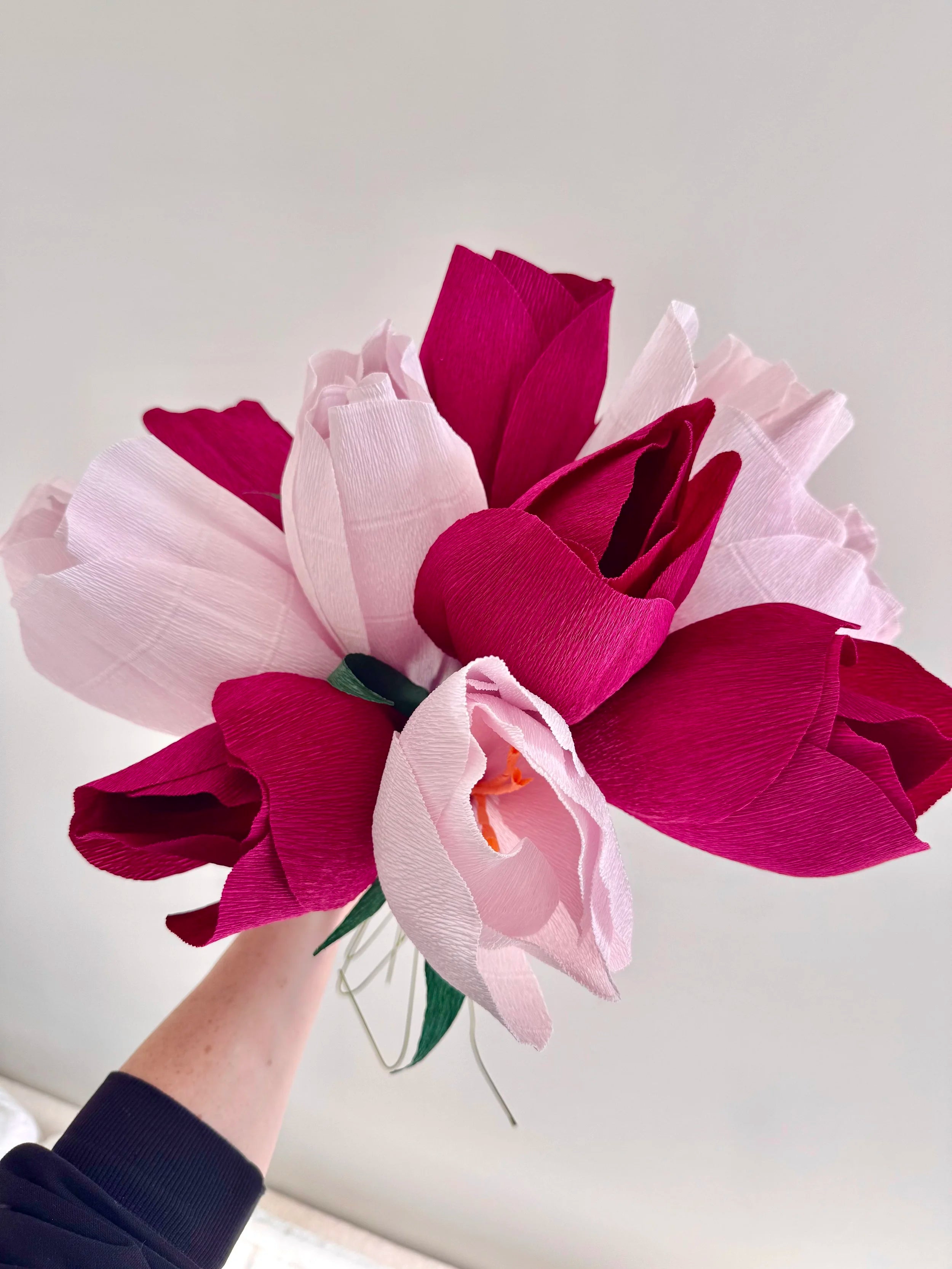 Bouquet of light and dark purple paper crocuses held by a person against a white background