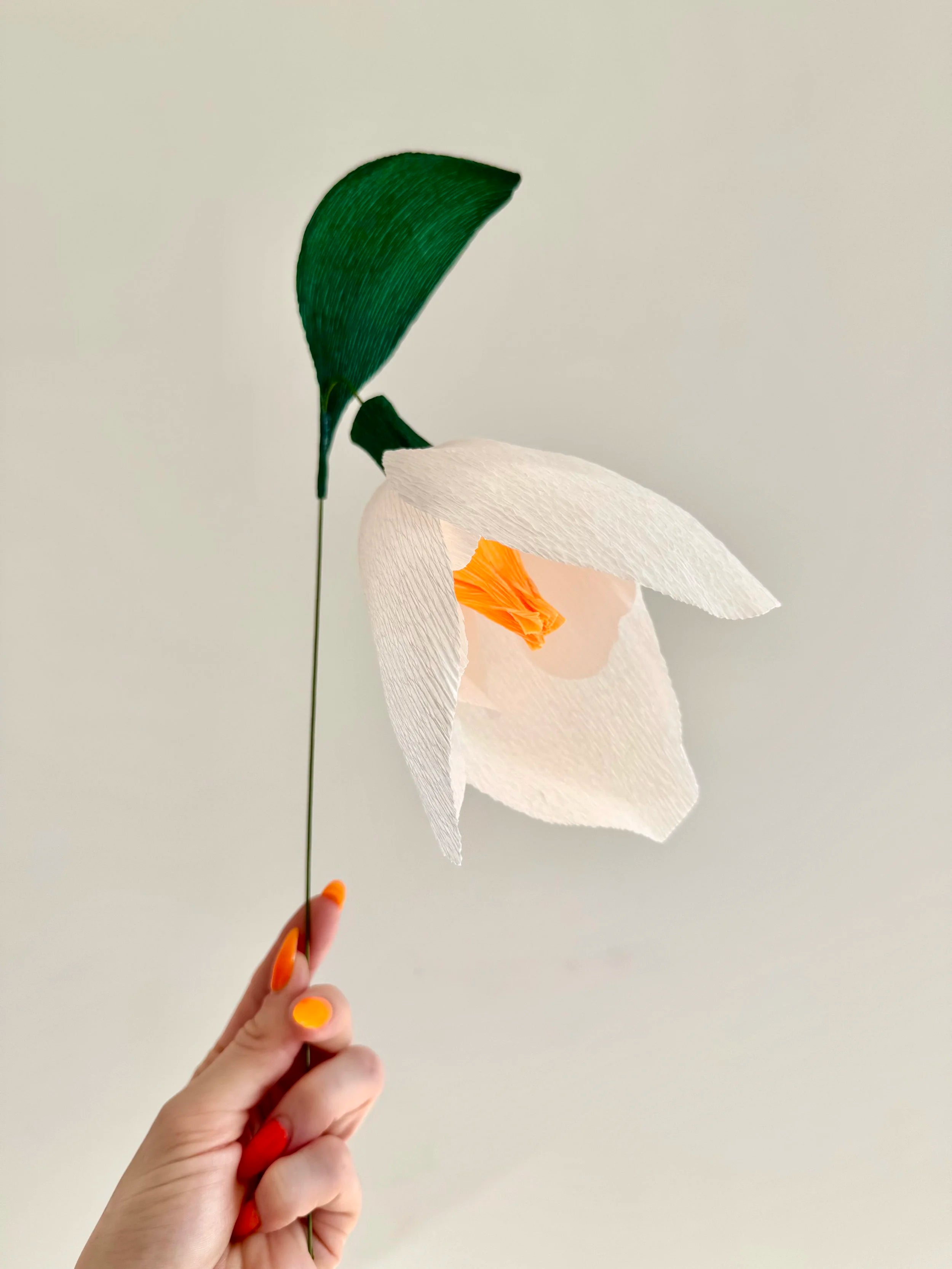 Hand holding a white snowdrop with a green stem against a light background