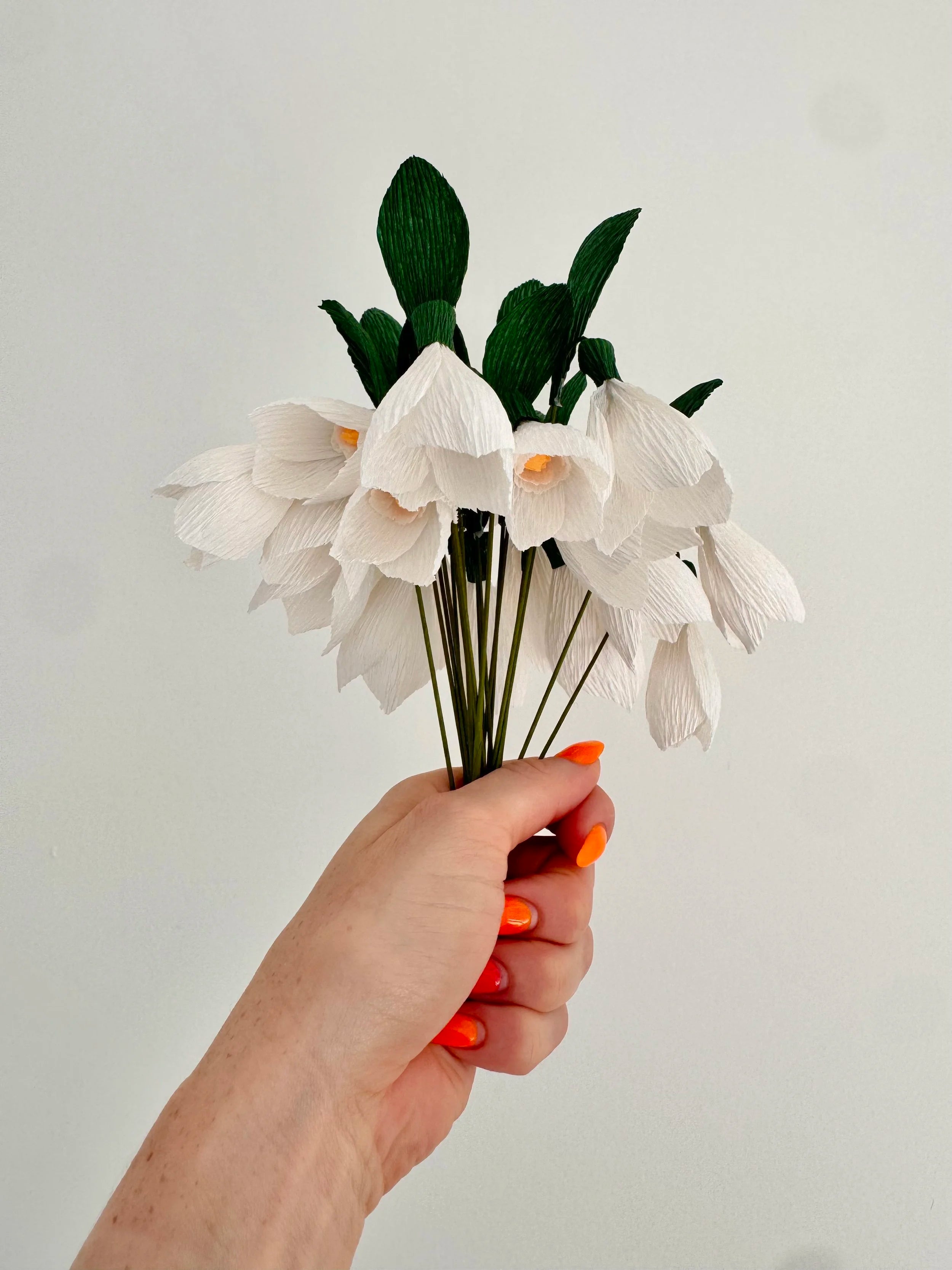 Hand holding a bouquet of white snowdrops against a plain background