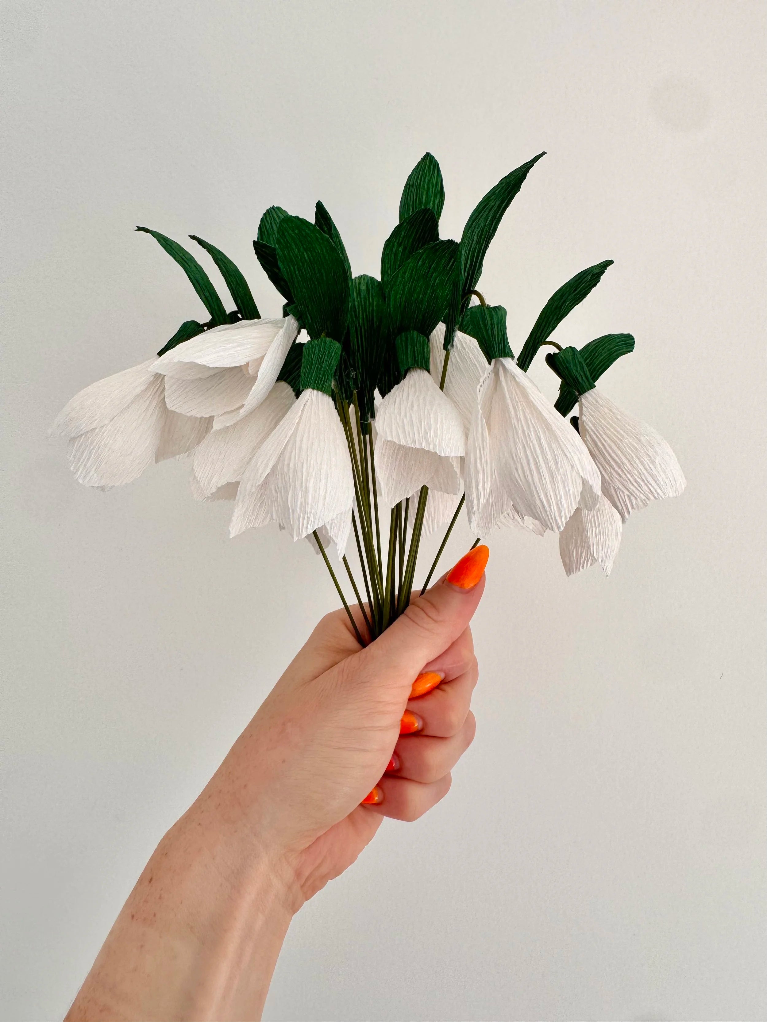 Hand holding a bouquet of white snowdrops with green leaves against a plain background